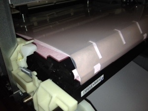 20131103-103542.jpg